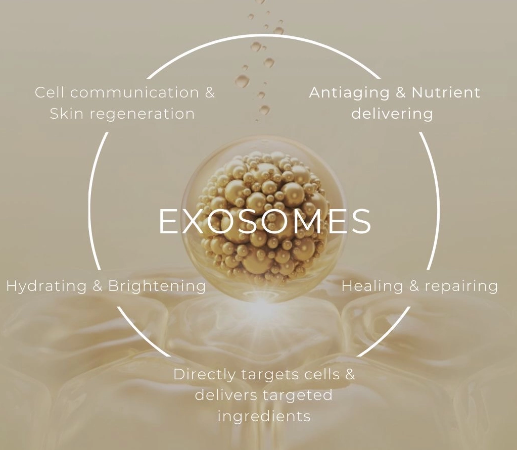 what is exosomes treatment